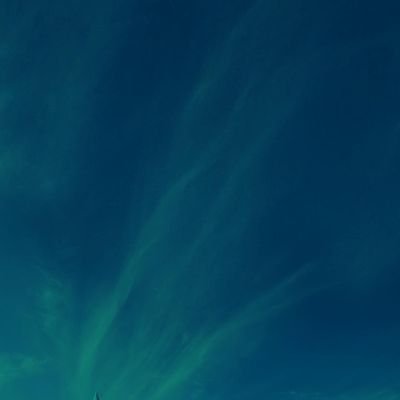 lologlig's profile picture. ☀️