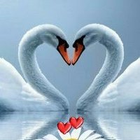 Arief Pradhana (@ariefpradhana5) 's Twitter Profile