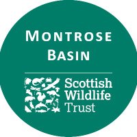 Montrose Basin Wildlife Reserve(@MontroseBasin) 's Twitter Profileg