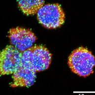 UB - RNA in neurodegeneration (Eulàlia's lab) (@rna_neurodeg_ub) 's Twitter Profile Photo UB - RNA in neurodegeneration (Eulàlia's lab) (@rna_neurodeg_ub) 's Twitter Profile Photo
