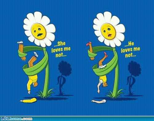 purplebutterfl5's profile picture. 