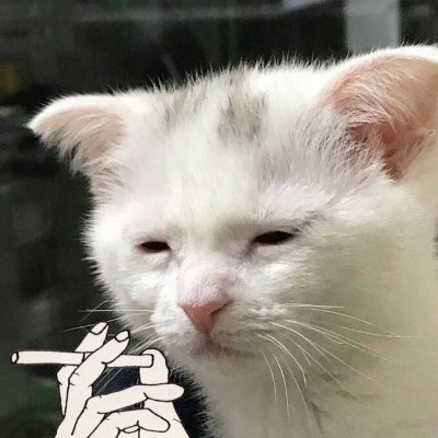 axidenz's profile picture. Elon Musk es mi pastor.