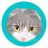 桑鶴真帆🐈イラスト/デザインのアイコン