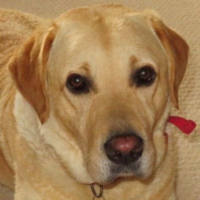 Penray97's profile picture. 