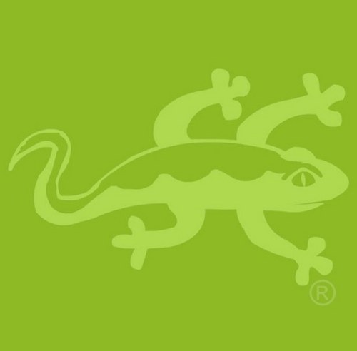 sevolucion's profile picture. info@sistemasevolucion.com