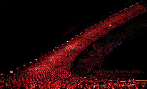 lsylovetvxq's profile picture. 