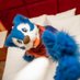 Blusky麥🦴 (@pickthefeather) Twitter profile photo Blusky麥🦴 (@pickthefeather) Twitter profile photo