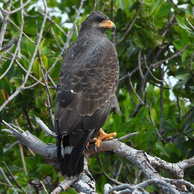 Isabell30128647's profile picture. La vérité vous libérera