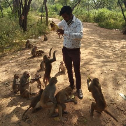 VinayMa48387217's profile picture. 