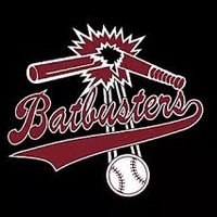 PA Batbusters (@pabatbusters) 's Twitter Profile