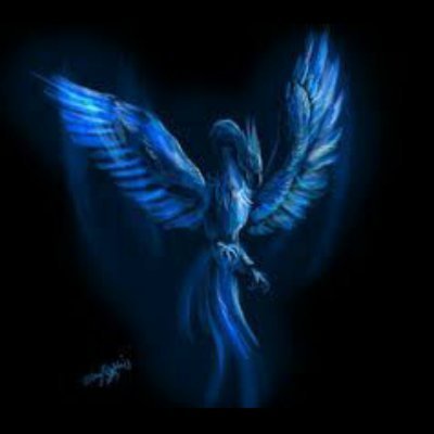 BATCRAFT13's profile picture. 