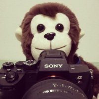 photographmonkey (@t_mura_photo) 's Twitter Profile Photo