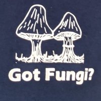 MGSO@UGA (@mgso_uga) Twitter profile photo