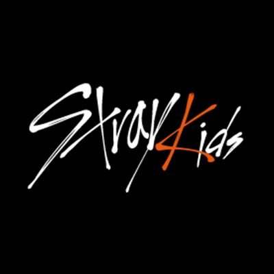 Stray Kids fashion, clothing and outfits.
