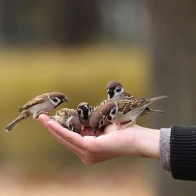 staze19230469's profile picture. 