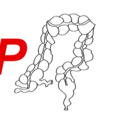 NlWcp's profile picture. Dutch Coloproctology Working Group