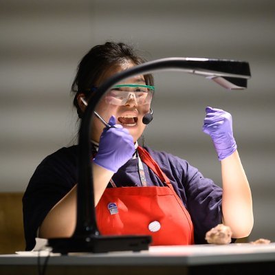 Explainers are part of @NYSCI’s Friedman Center & Science Career Ladder. They perform science demos & engage visitors in #STEM conversations! 🧪🧠