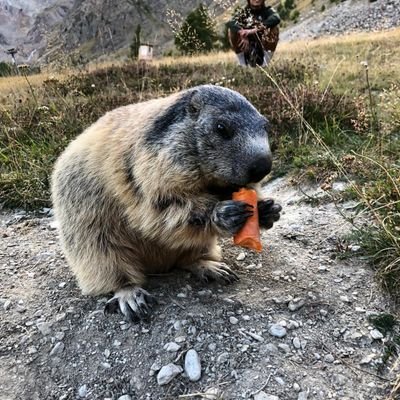 YukiMein's profile picture. Jugando para @FC_Mayango