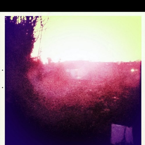 llnimrod63's profile picture. 