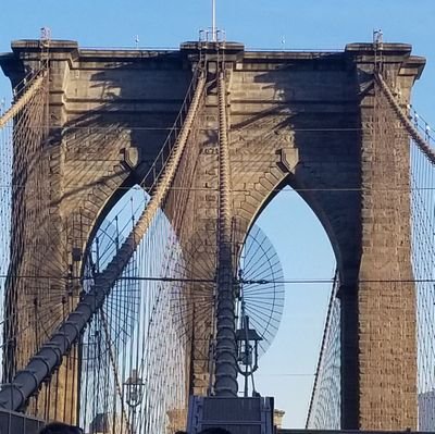 Grad student studying data analysis & visualization. Apprentice @BetaNYC. Avid 🎾 fan & 😺 lover. #opendata #civictech