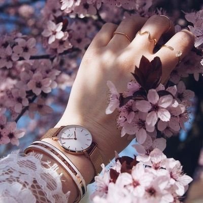 rawa_salem's profile picture. ‏طالبة طب اسنان