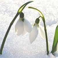 krdln41853255's profile picture. 