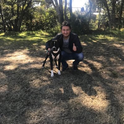 yumkax_balam's profile picture. 