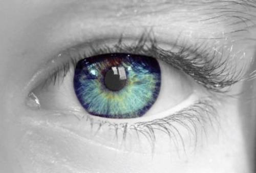 slechtziend's profile picture. 