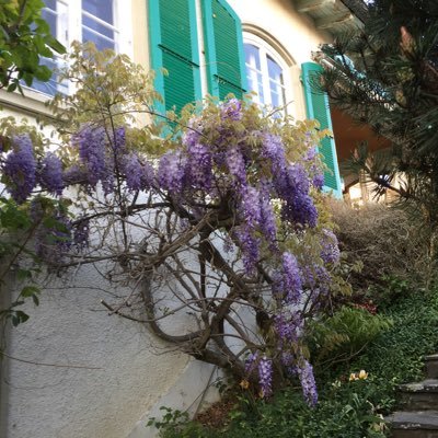 OsteoMartine's profile picture. 