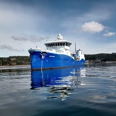 OyarzoFlavio's profile picture. 