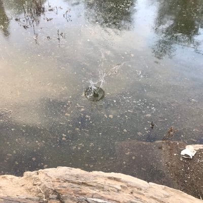 BsO1o1o1's profile picture. 