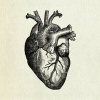 Toni Woodward (@tonidarkheart) 's Twitter Profile