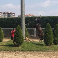 Serdar Demirtas (@demirtas_serdar) Twitter profile photo