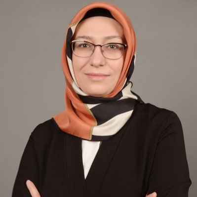 KudretErenYavuz's profile picture. Psikoloji, PhD