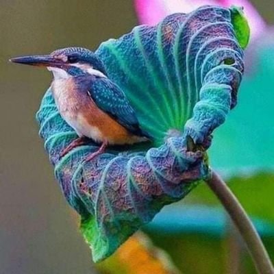 marmagita's profile picture. 