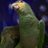 Az_SG's profile image