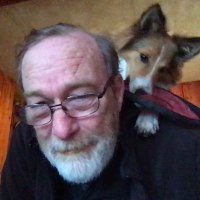 Old guy with dogs(@Smeagol69540177) 's Twitter Profile Photo