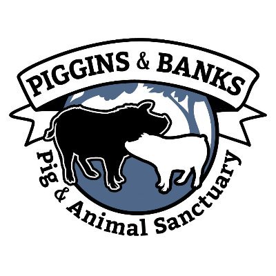 Piggins and Banks: Pig and Animal Sanctuary