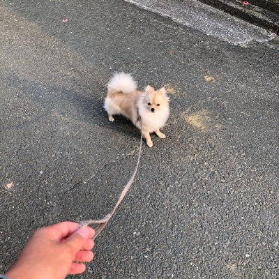 TARYO0103's profile picture. 