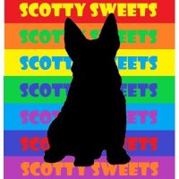 Scotty Sweets (@scottysweetsnow) 's Twitter Profile Photo