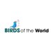Bird Of The World (@BirdOfTheWorld2) Twitter profile photo