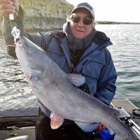 Steve - I follow back (@stevejennings87) 's Twitter Profile