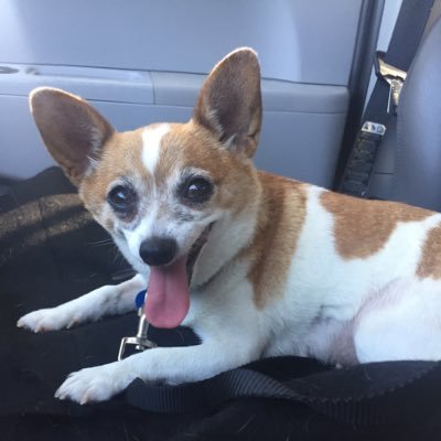 haleyfrombos's profile picture. 21, ucf ‘20