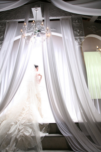 cokesun's profile picture. 