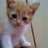 miyayami18's profile image