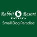 Rabbit Resort Pattaya (@resortrabbit) Twitter profile photo Rabbit Resort Pattaya (@resortrabbit) Twitter profile photo