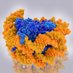 nyc chromatin club (@nycchromatin) Twitter profile photo nyc chromatin club (@nycchromatin) Twitter profile photo