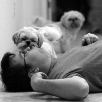 John Patton (@john_d_patton) 's Twitter Profile Photo John Patton (@john_d_patton) 's Twitter Profile Photo