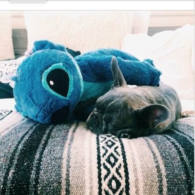 ShaneArtist1's profile picture. 