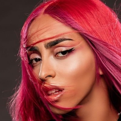 House_Hassani's profile picture. ~Allô chéri je voudrais signaler un crime~